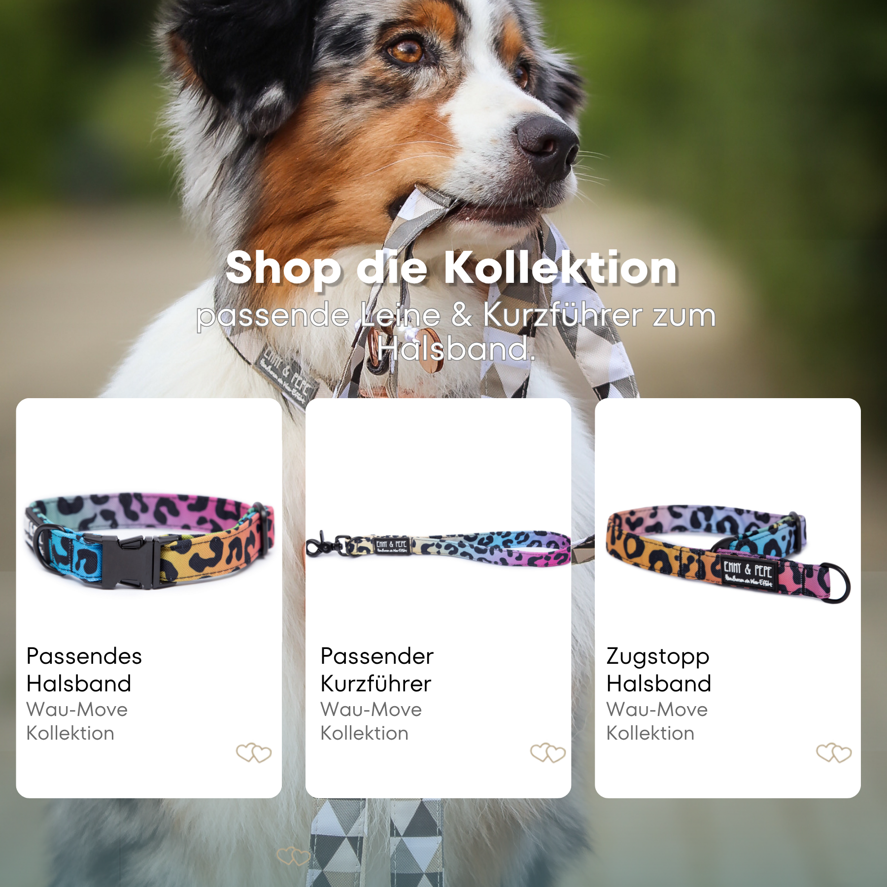 Leo Neo dog leash