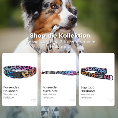 Leo Neo dog leash