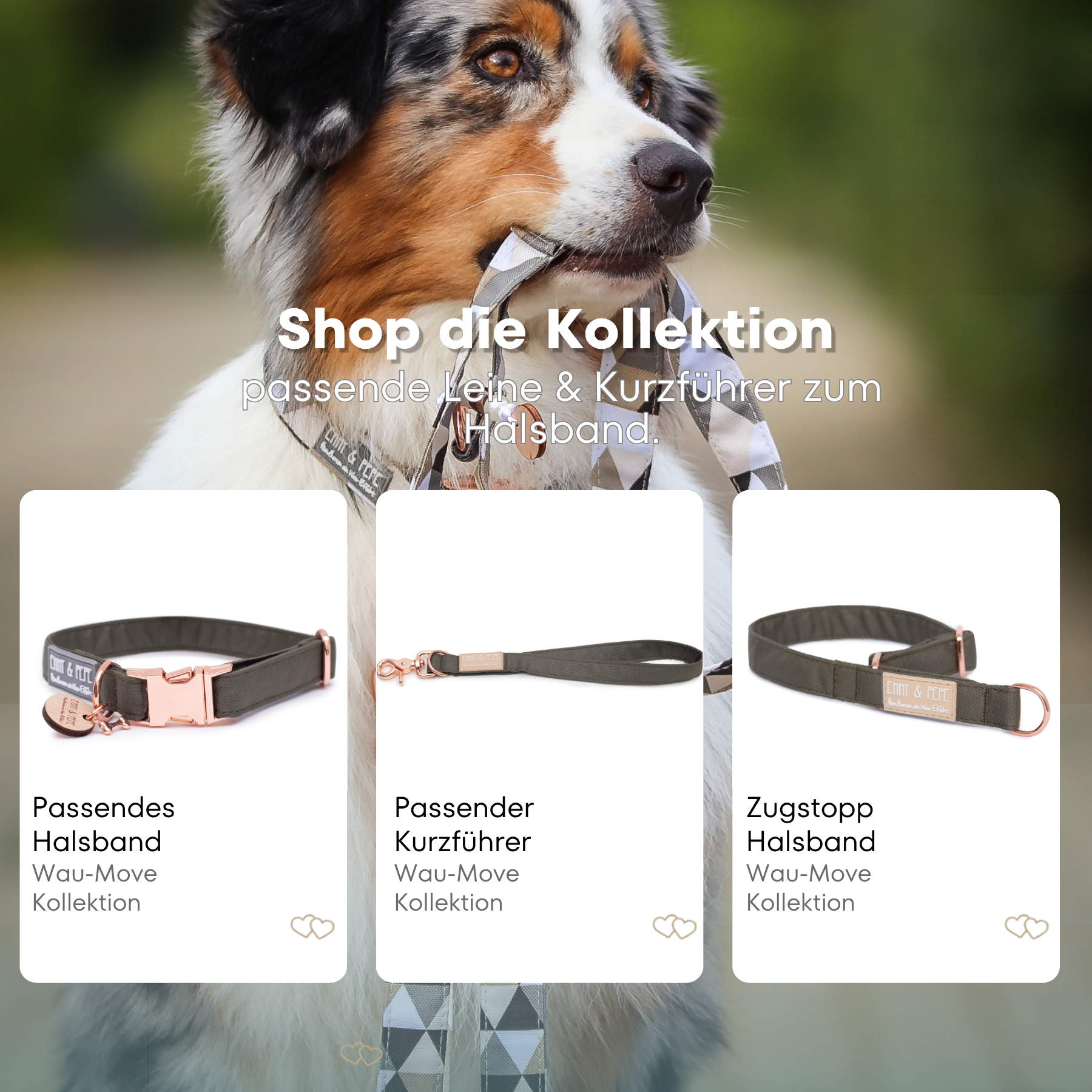 Lotte 2.0 dog collar