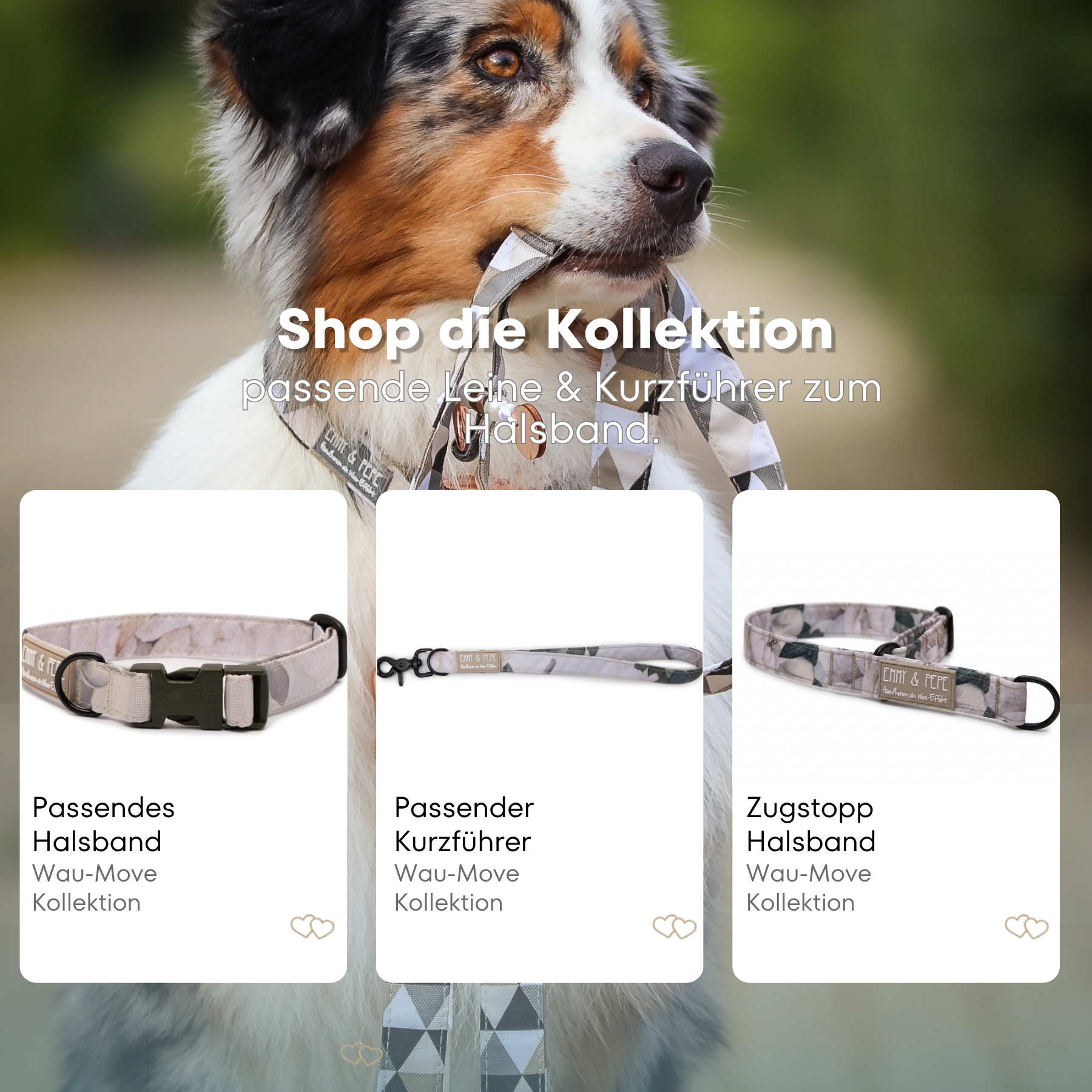 Magnolia dog collar