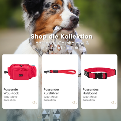 Australian Shepherd mit passendem Halsband und Hundeleine aus der Wau-Move Kollektion. Entdecke Halsband, Kurzführer und Gassitasche im abgestimmten Design Neon Pink für stilvolle Hundespaziergänge.