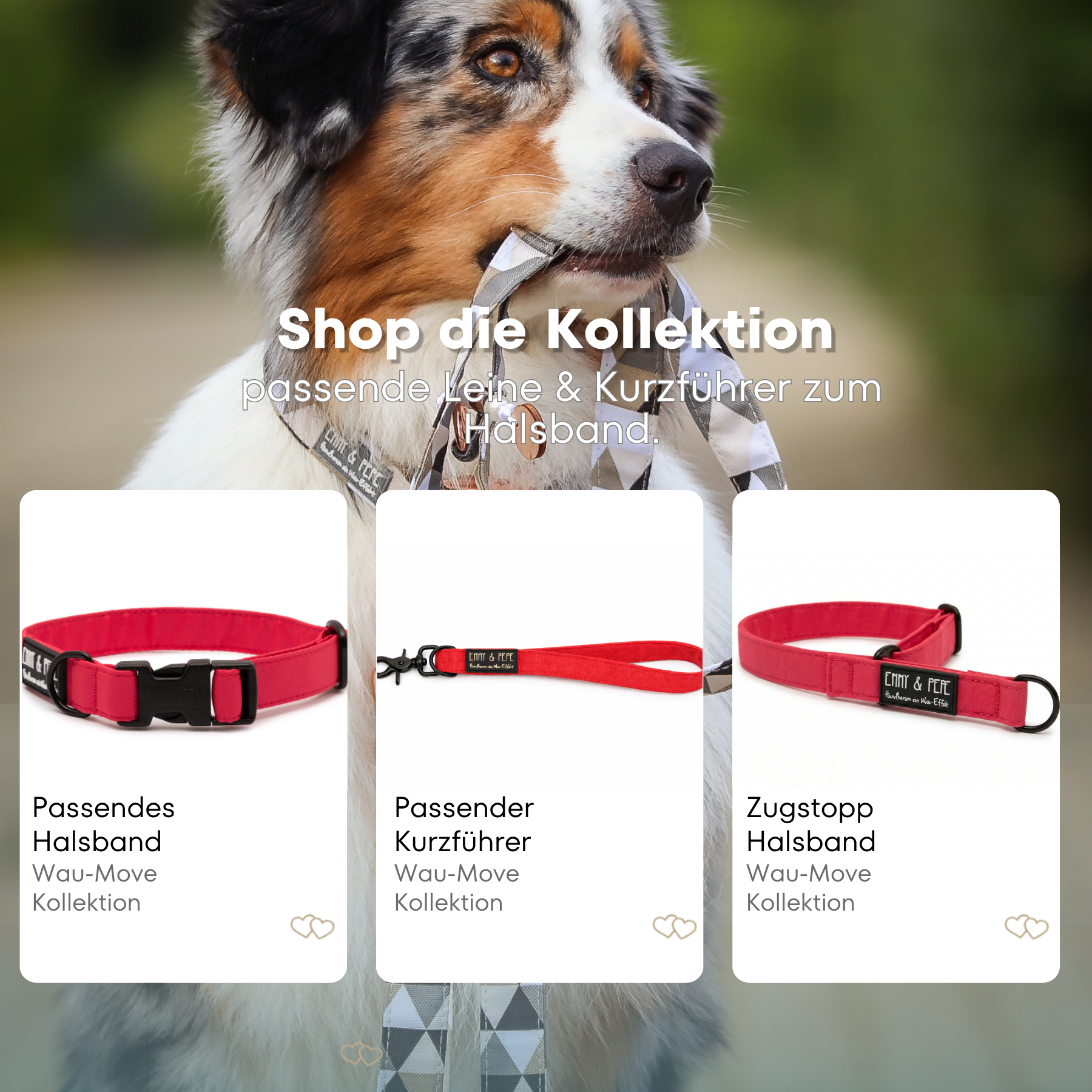 Hundehalsband Neon Pink