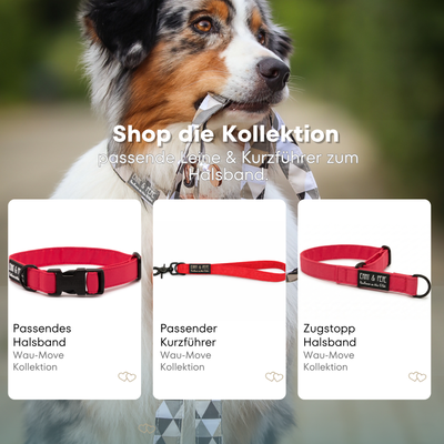 Hundehalsband Neon Pink