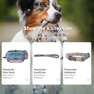 Australian Shepherd mit passendem Halsband und Hundeleine aus der Wau-Move Kollektion. Entdecke Halsband, Kurzführer und Gassitasche im abgestimmten Design Spirit für stilvolle Hundespaziergänge.
