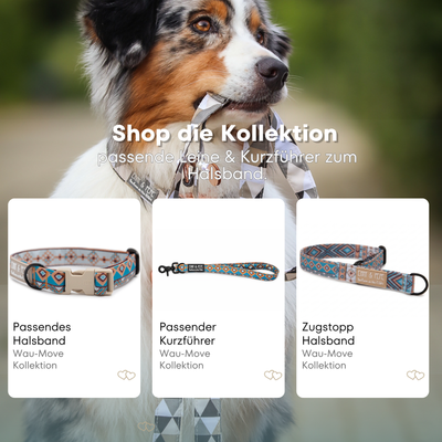 Hundehalsband Spirit