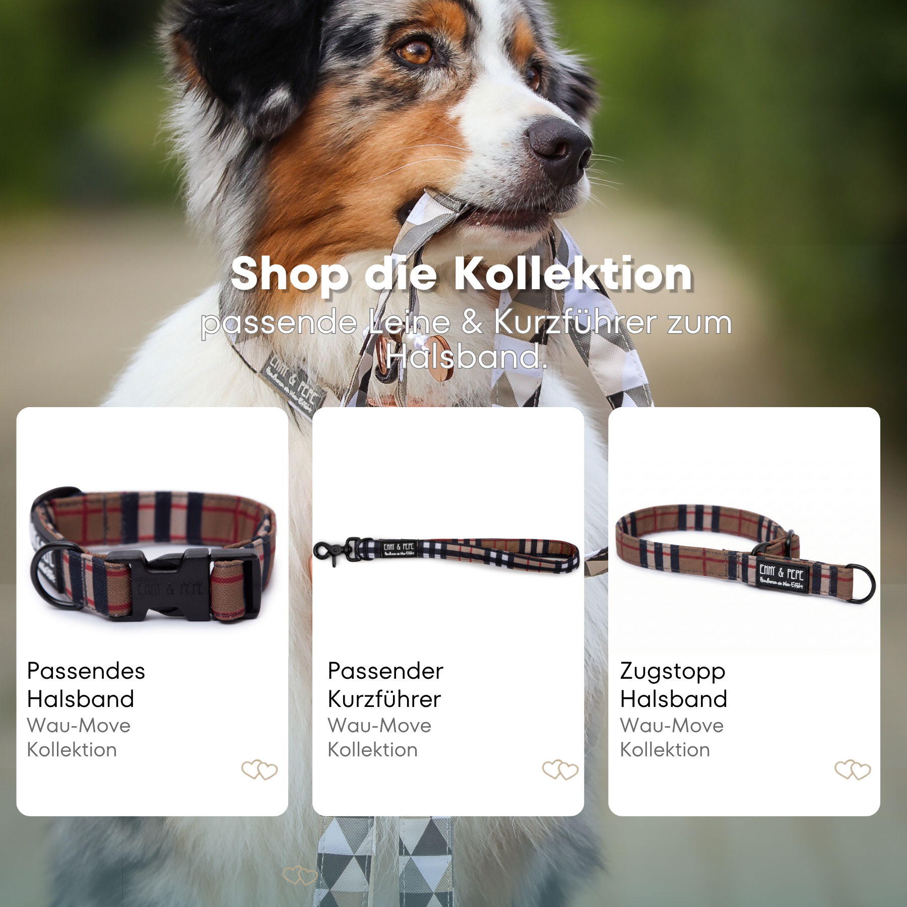 Watson dog leash