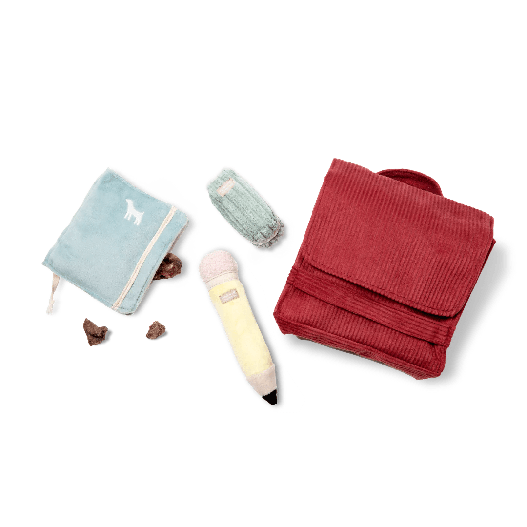 Schnüffelspielzeug für Hunde, hellblaues Notizbuch, gelber Bleistift, roter Rucksack und hellblaues Federmäppchen als "Kuscheltier"