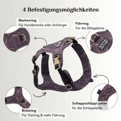 Hundegeschirr mit Halsöffnung Golden Plum