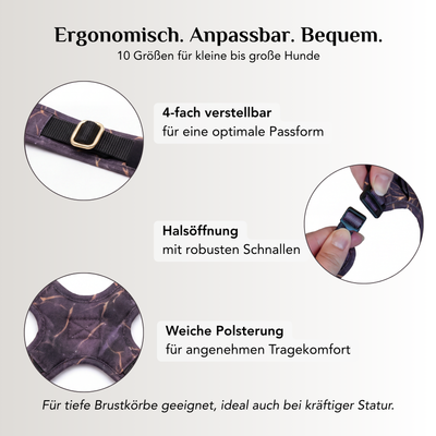 Hundegeschirr mit Halsöffnung Golden Plum