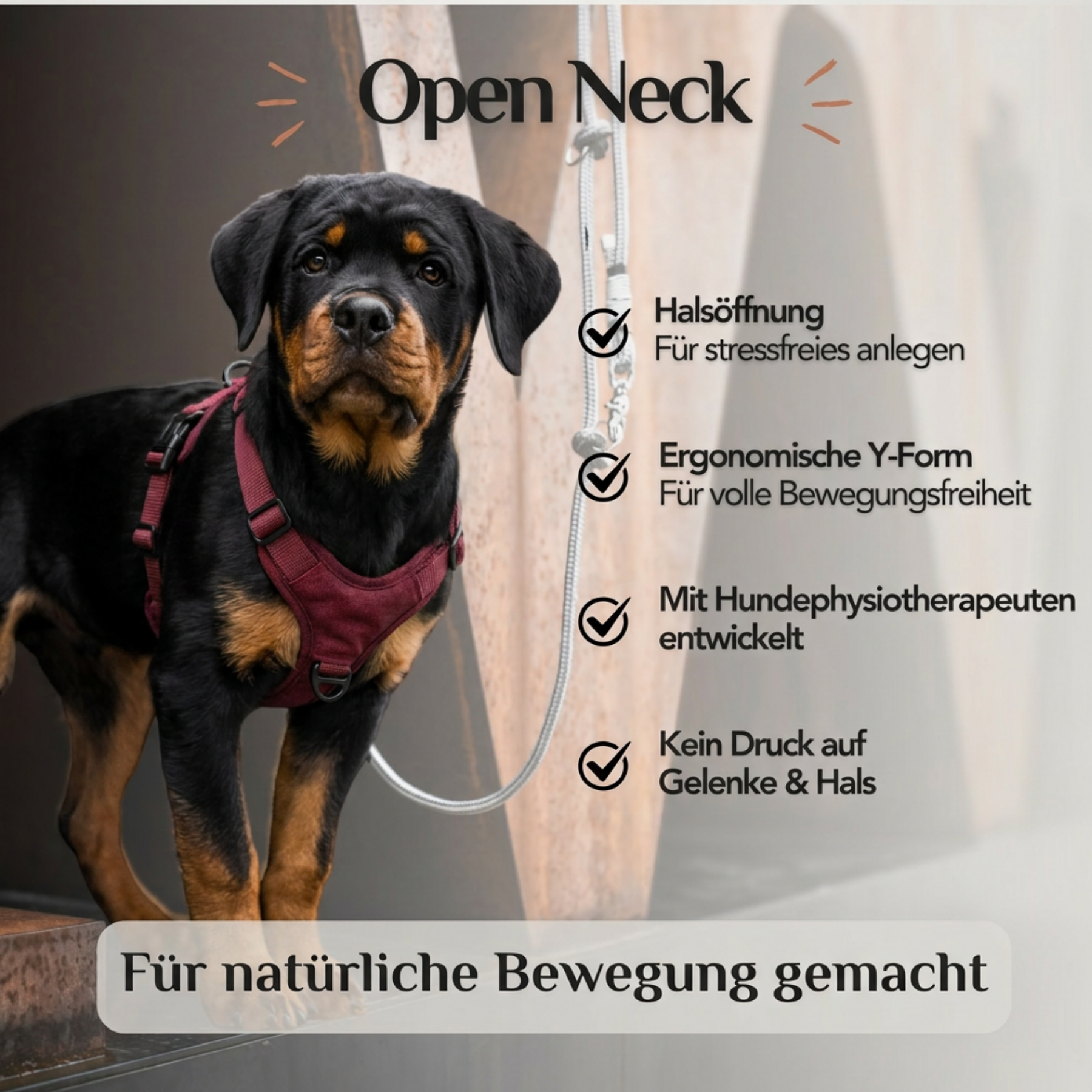 Hundegeschirr mit Halsöffnung Velvet