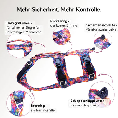 Panikgeschirr Hund Dahlia mit Rückenring, Brustring, Sicherheitsschlaufe und Schleppschlüppi