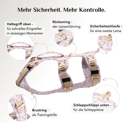Wau-Safety Sicherheitsgeschirr für Hunde Leo Cream mit Rückenring, Brustring und Schleppschlüppi