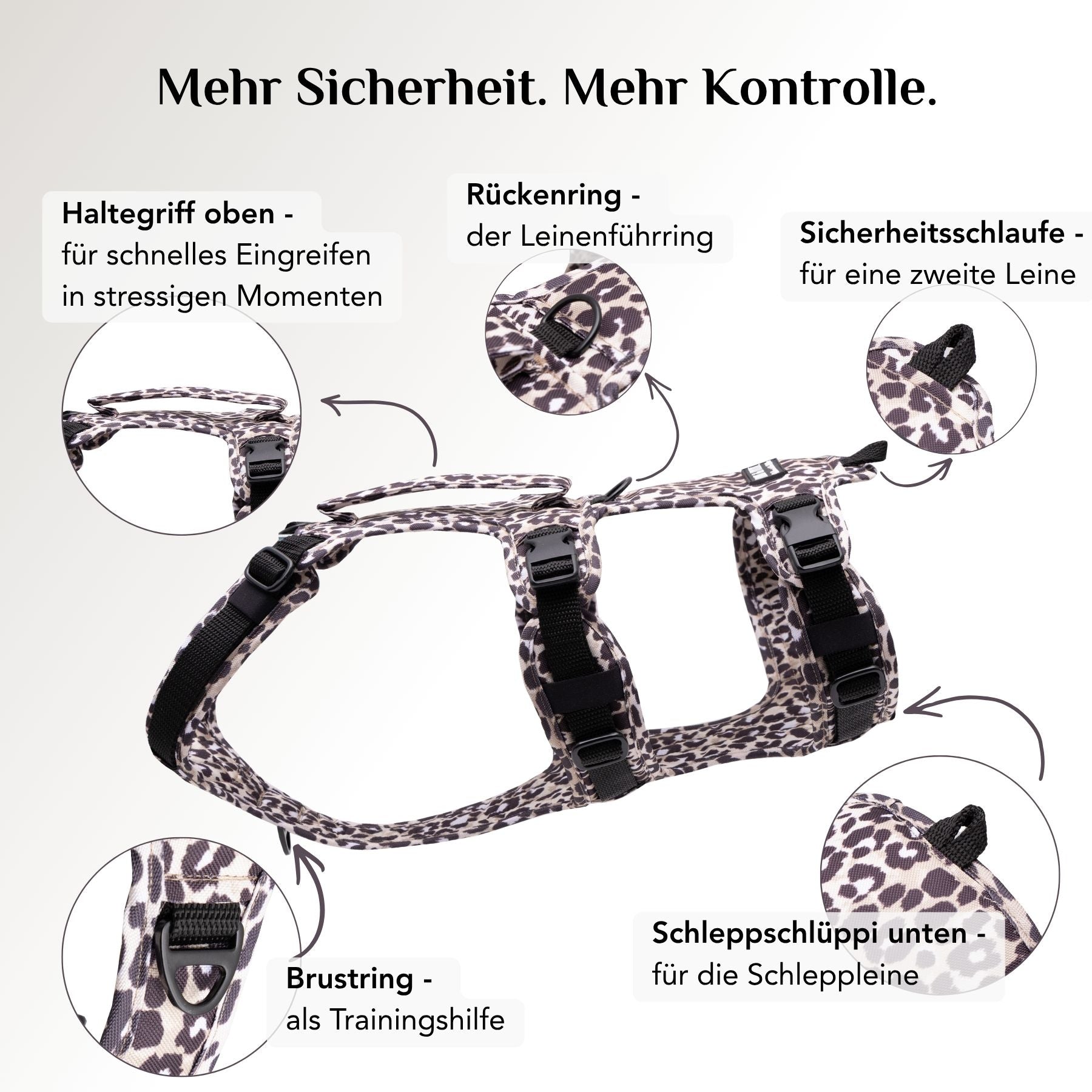Befestigungsmöglichkeiten am Wau-Safety Sicherheitsgeschirr Leo Dark mit Rückenring, Brustring und Schleppschlüppi