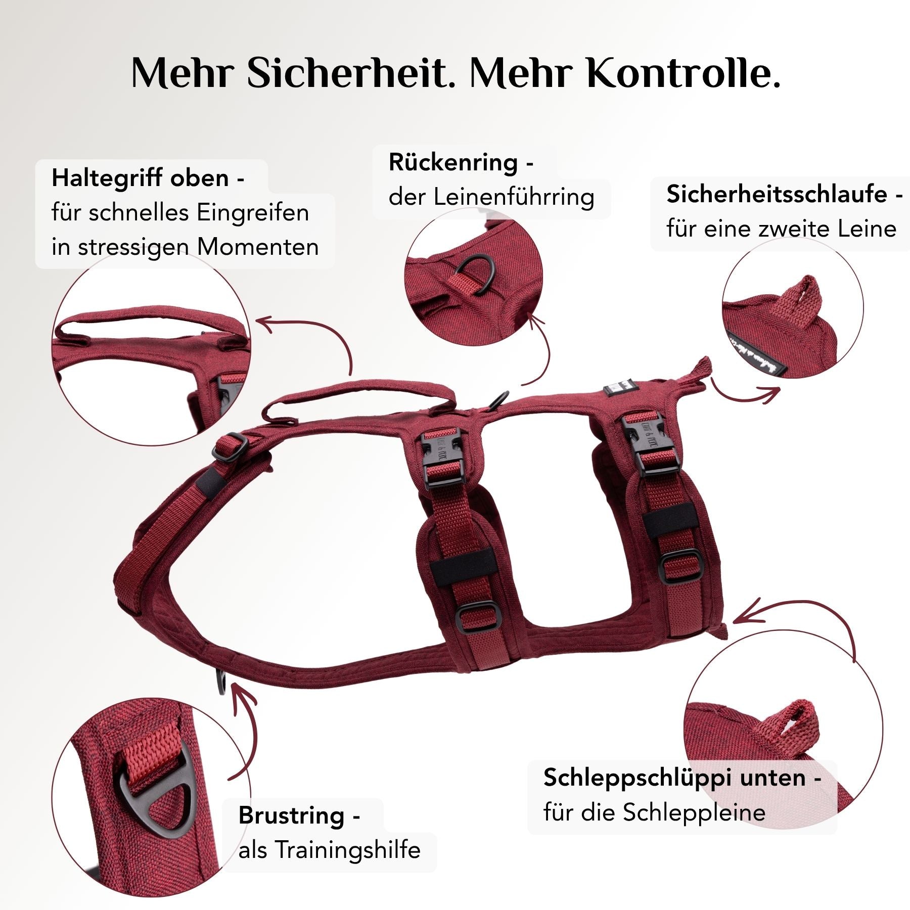 Wau-Safety Sicherheitsgeschirr Velvet Bordeauxrot mit Rückenring, Brustring, Sicherheitsschlaufe und Schleppschlüppi