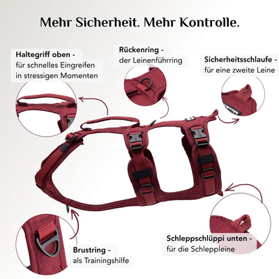 Wau-Safety Sicherheitsgeschirr Velvet Bordeauxrot mit Rückenring, Brustring, Sicherheitsschlaufe und Schleppschlüppi
