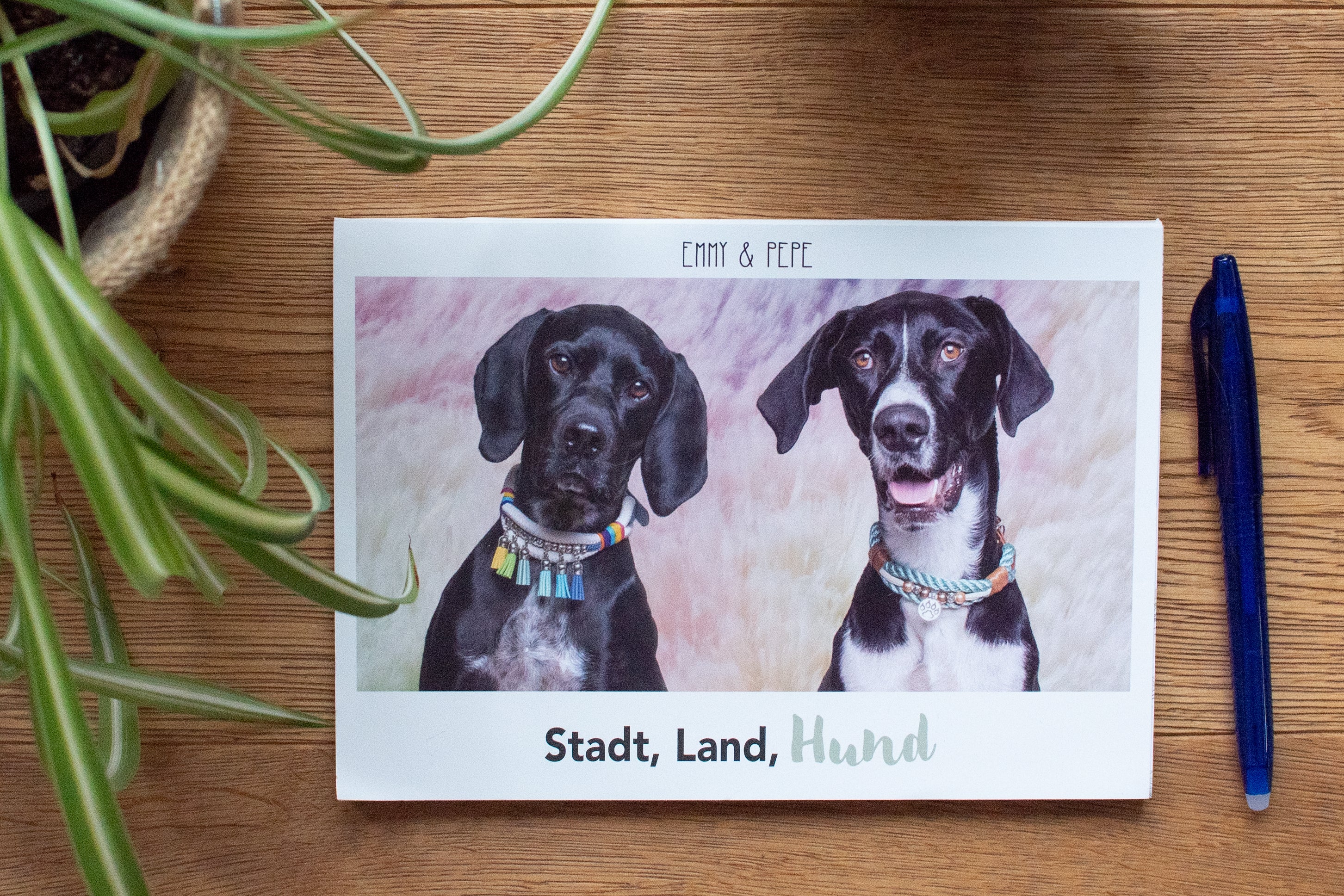 Stadt-Land-Hund