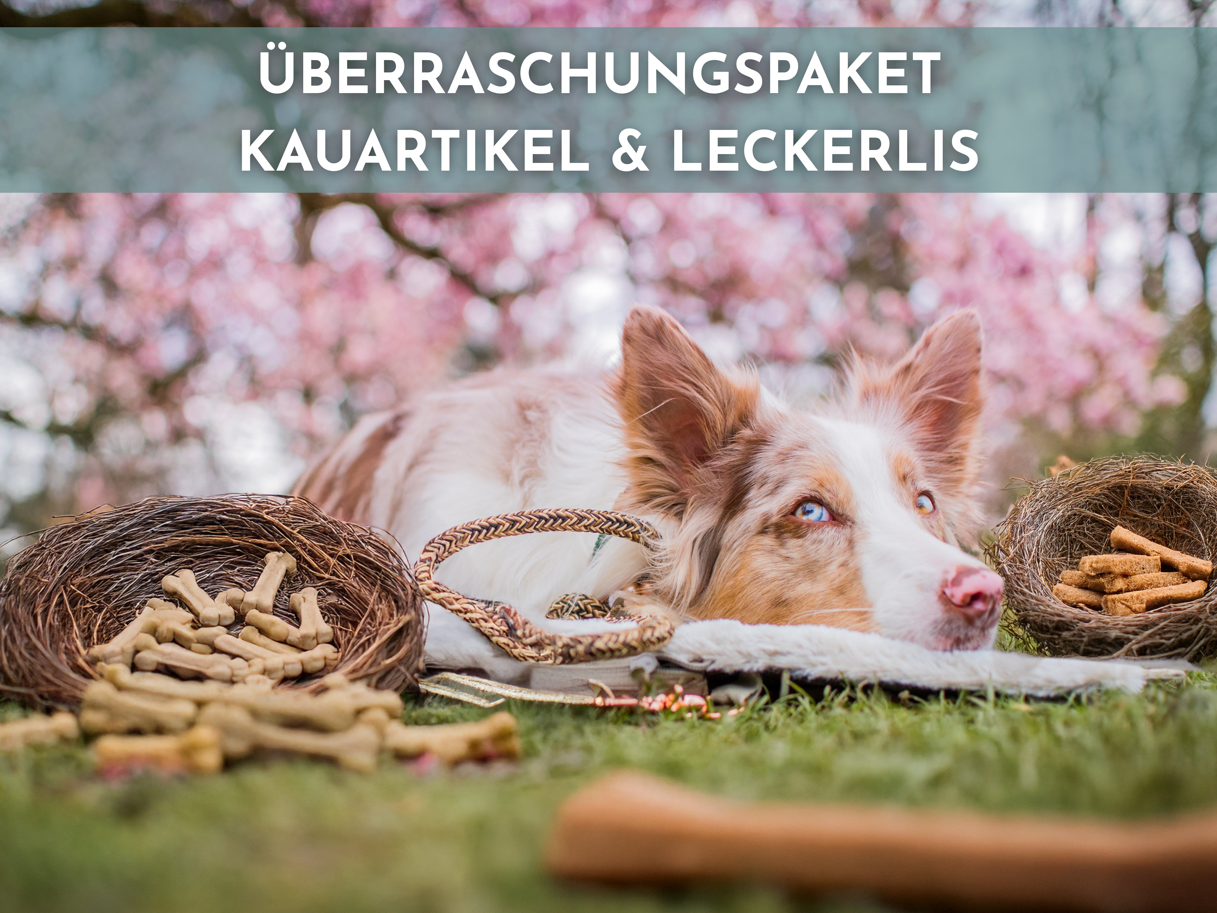 Überraschungstüte