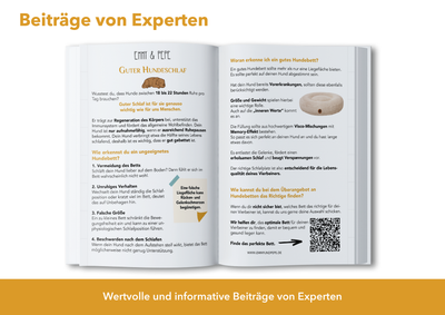 Wau-Journal - dein Bullet Journal mit vielen interessanten Expertenbeiträgen