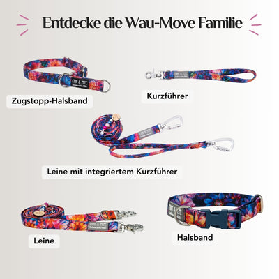 Dahlia dog harness