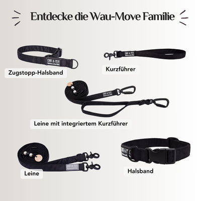 Cheerful Black Dog Harness
