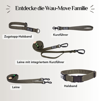 Lothar dog harness