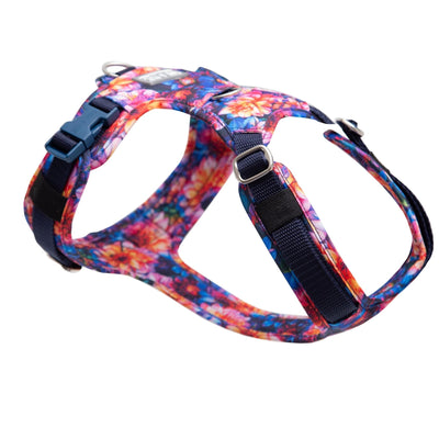 Dahlia dog harness