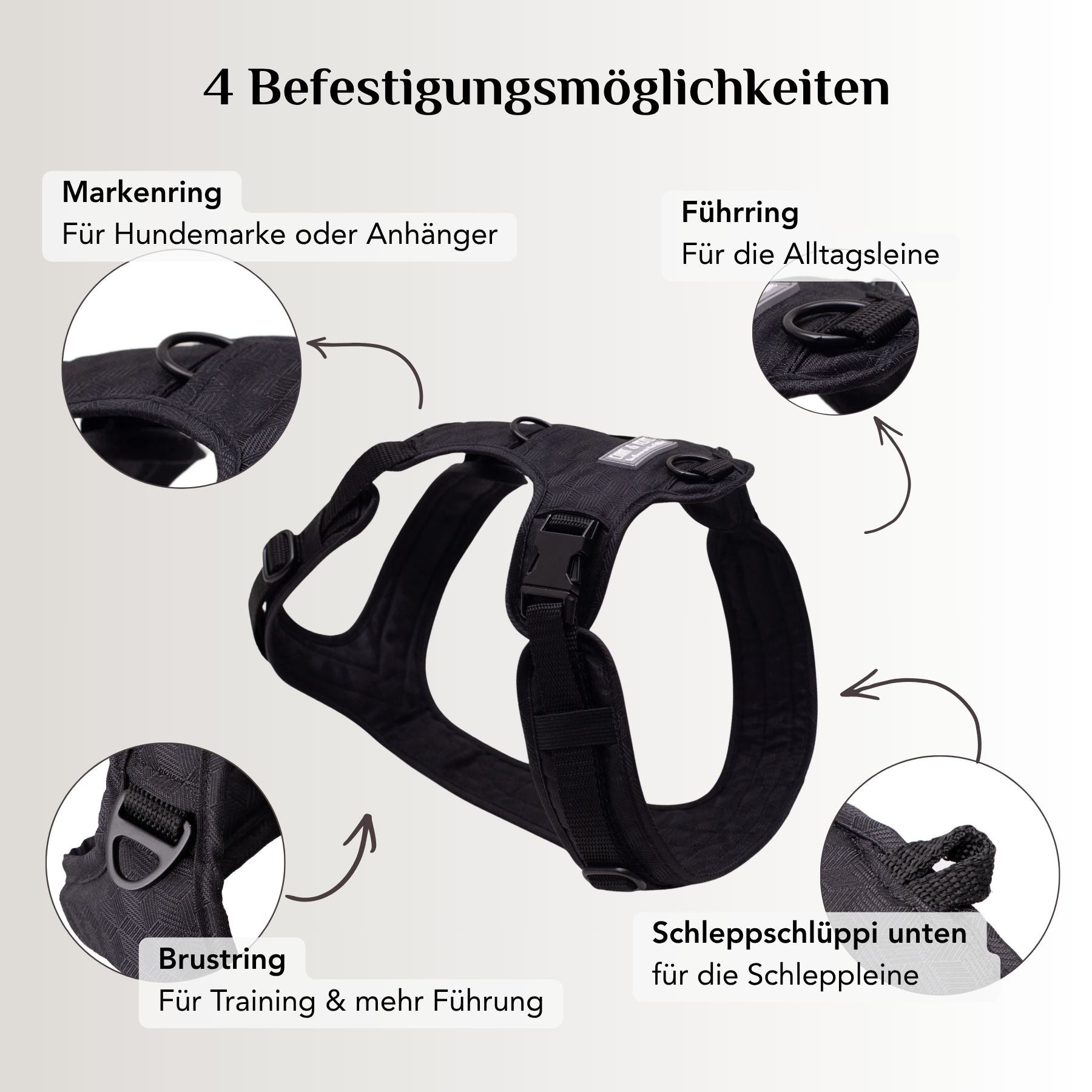 Cheerful Black Dog Harness