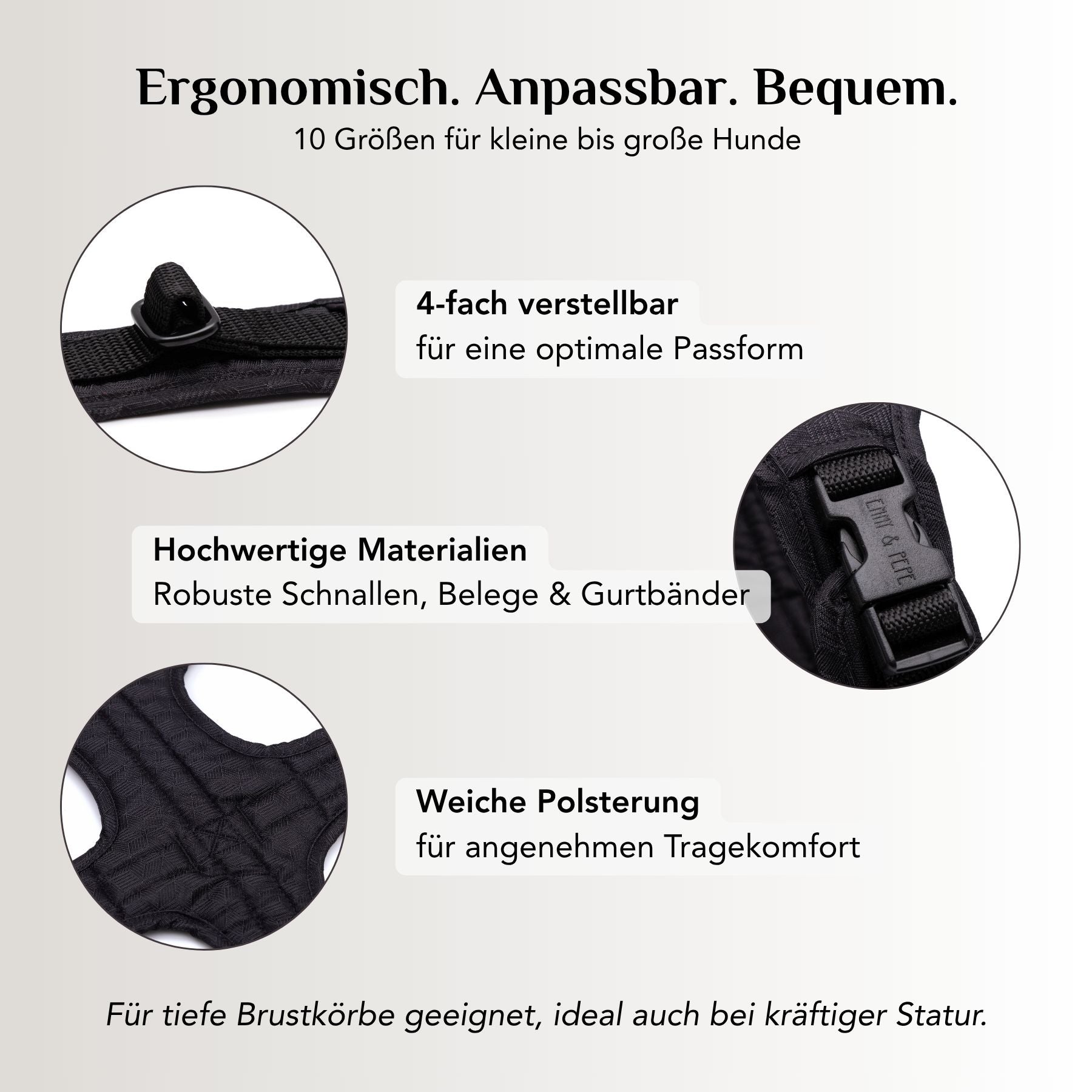 Cheerful Black Dog Harness