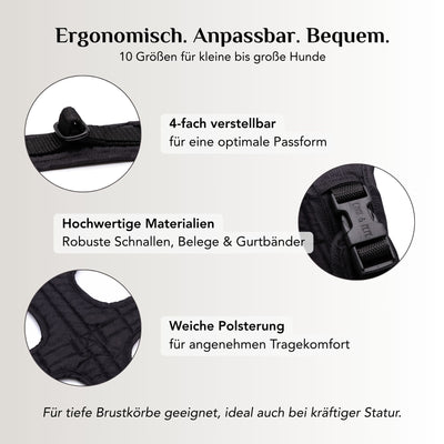 Cheerful Black Dog Harness