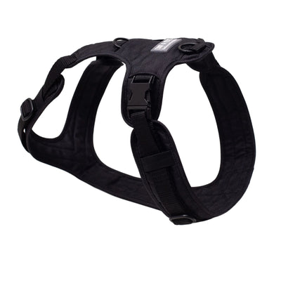 Cheerful Black Dog Harness