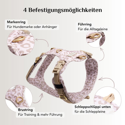 Hundegeschirr Leo Creme 2.0
