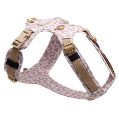 Hundegeschirr Leo Creme 2.0