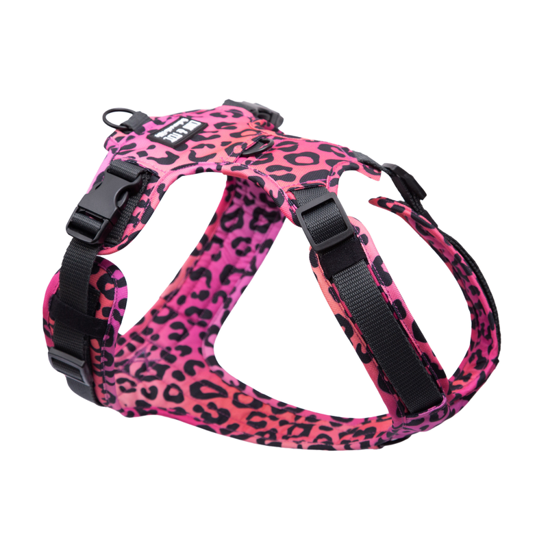 Hundegeschirr Leo Pink
