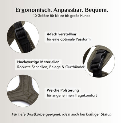 Lothar dog harness