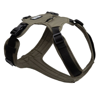 Lothar dog harness