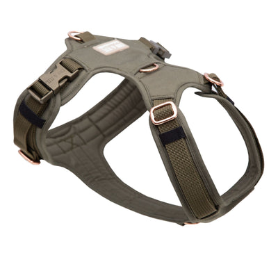Lotte 2.0 dog harness