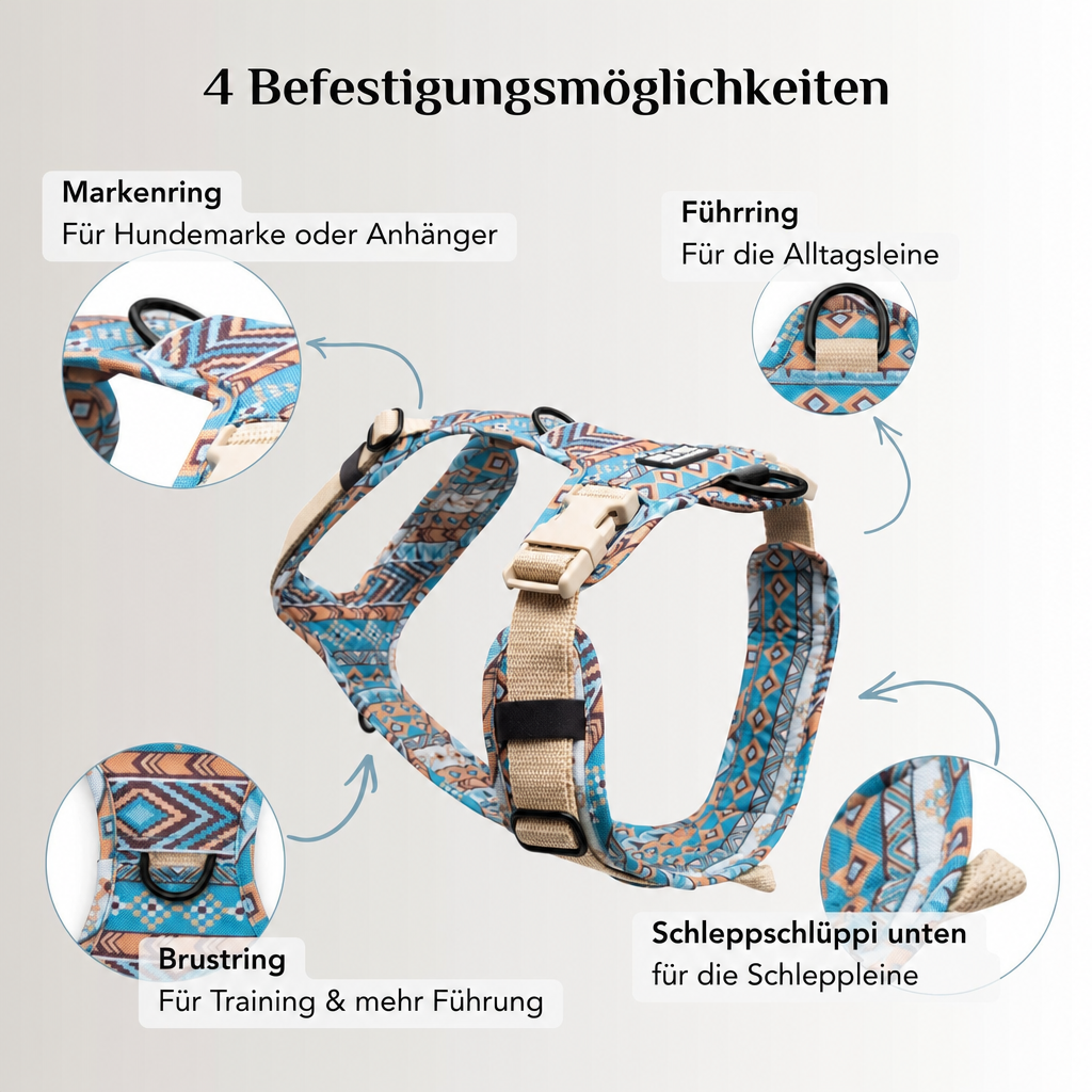 Hundegeschirr Spirit