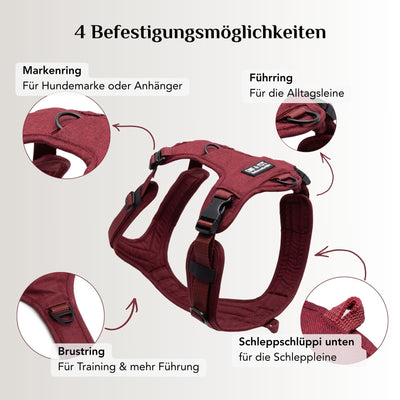 Hundegeschirr Velvet