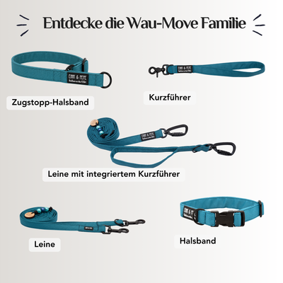 Entdecke die Wau-Move Familie in Aqua: Zugstopp-Halsband, Kurzführer, Leine mit integriertem Kurzführer, Leine und Halsband, alle einfarbig Petrol mit schwarzen Metallteilen