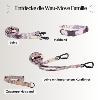 Emmy & Pepe Wau-Move Hundezubehör Set mit Vintage-Kartenmuster in Beige und Dunkelblau: Leine, Halsband, Leine mit integriertem Kurzführer und Zugstopp-Halsband