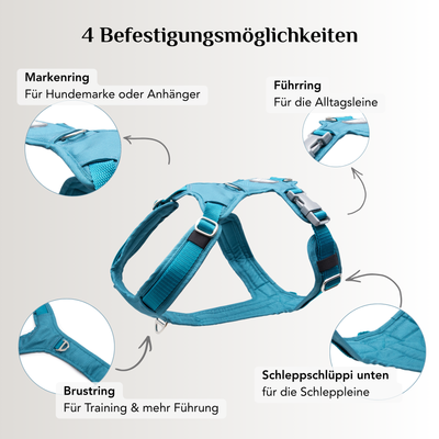 Emmy & Pepe Hundegeschirr Aqua mit 4 Befestigungsmöglichkeiten: Markenring, Führring, Brustring und Schlaufe für die Schleppleine