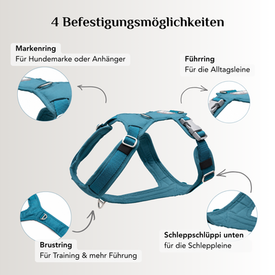 Emmy & Pepe Hundegeschirr Aqua mit 4 Befestigungsmöglichkeiten: Markenring für Hundemarke oder Anhänger, Führring für die Alltagsleine, Brustring für Training und mehr Führung, Schlaufe unten für die Schleppleine