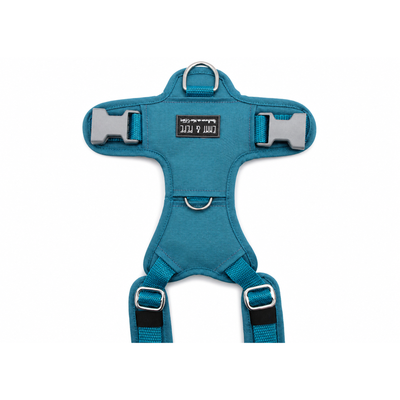 Emmy & Pepe Hundegeschirr Aqua, Detailansicht Rückenpatch mit silbernem Markenring, zwei Verstellschnallen und Emmy & Pepe Label, einfarbig Petrol