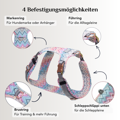 Emmy & Pepe Hundegeschirr Waussoni mit 4 Befestigungsmöglichkeiten: Markenring für Hundemarke oder Anhänger, Führring für die Alltagsleine, Brustring für Training und mehr Führung, Schlaufe unten für die Schleppleine, Zickzack-Muster in Pastelltönen mit roségoldenen Metallringen