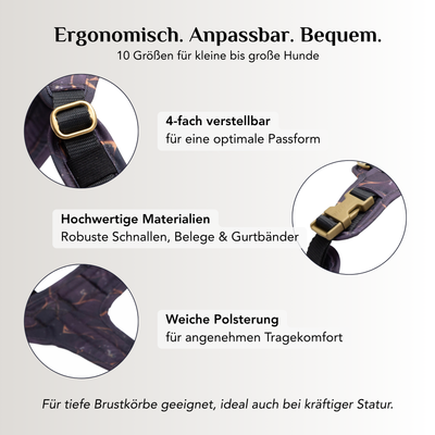 Ergonomisches Emmy & Pepe Hundegeschirr Golden Plum mit 4-fach verstellbaren Riemen, goldenen Schnallen und weicher Polsterung in 10 Größen