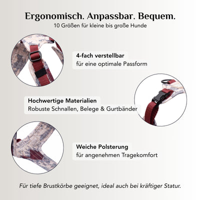 Hundegeschirr Karte der E&P