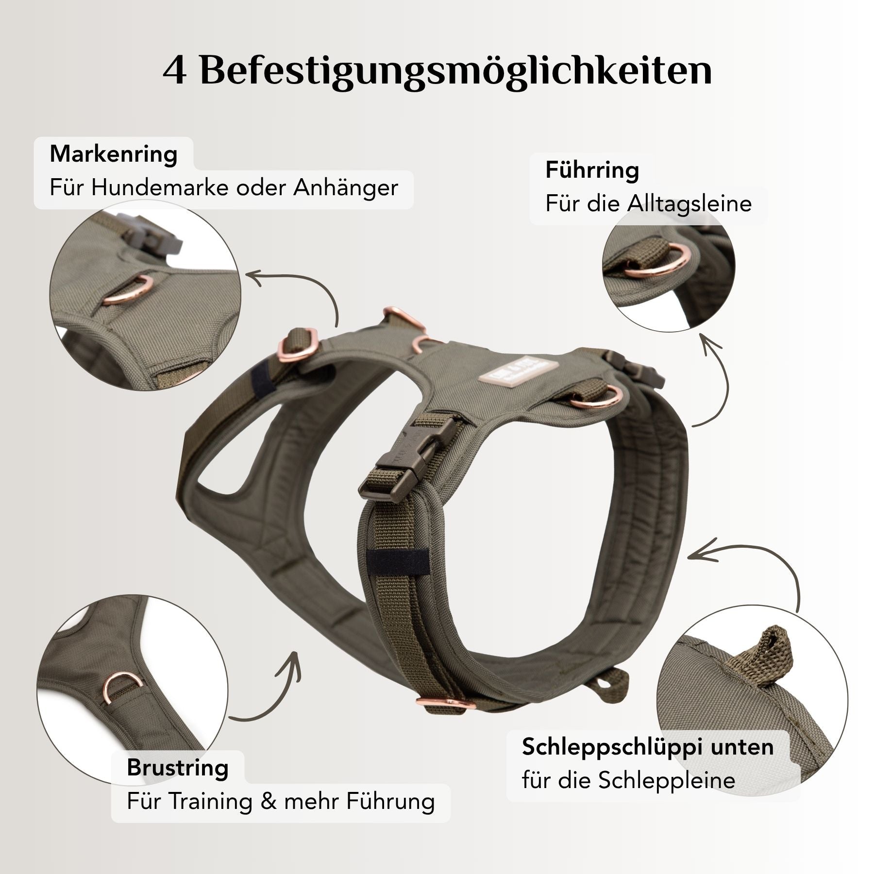 Lotte 2.0 dog harness