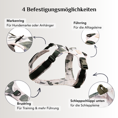 Hundegeschirr Magnolia