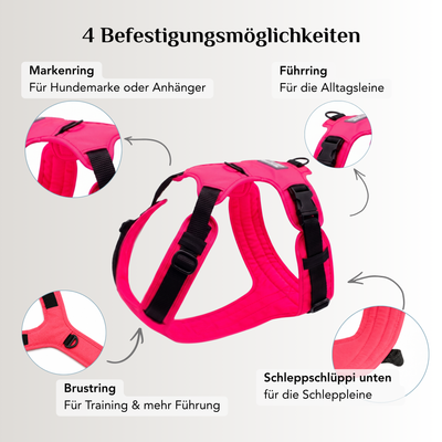 Emmy & Pepe Hundegeschirr Neon Pink mit 4 Befestigungsmöglichkeiten: Markenring, Führring, Brustring und Schlaufe für die Schleppleine