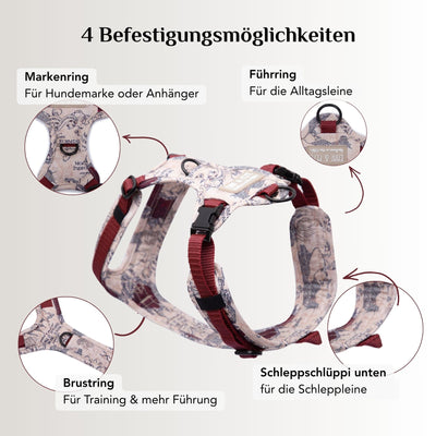 Hundegeschirr Karte der E&P